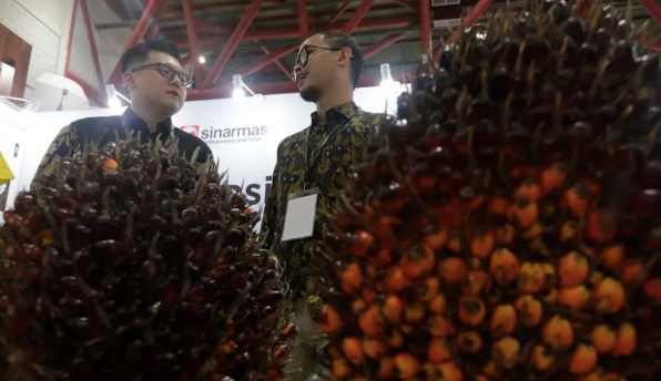 Perlunya Mitigasi Resiko Sosial serta Ekonomi dalam Cetak biru Hilirisasi